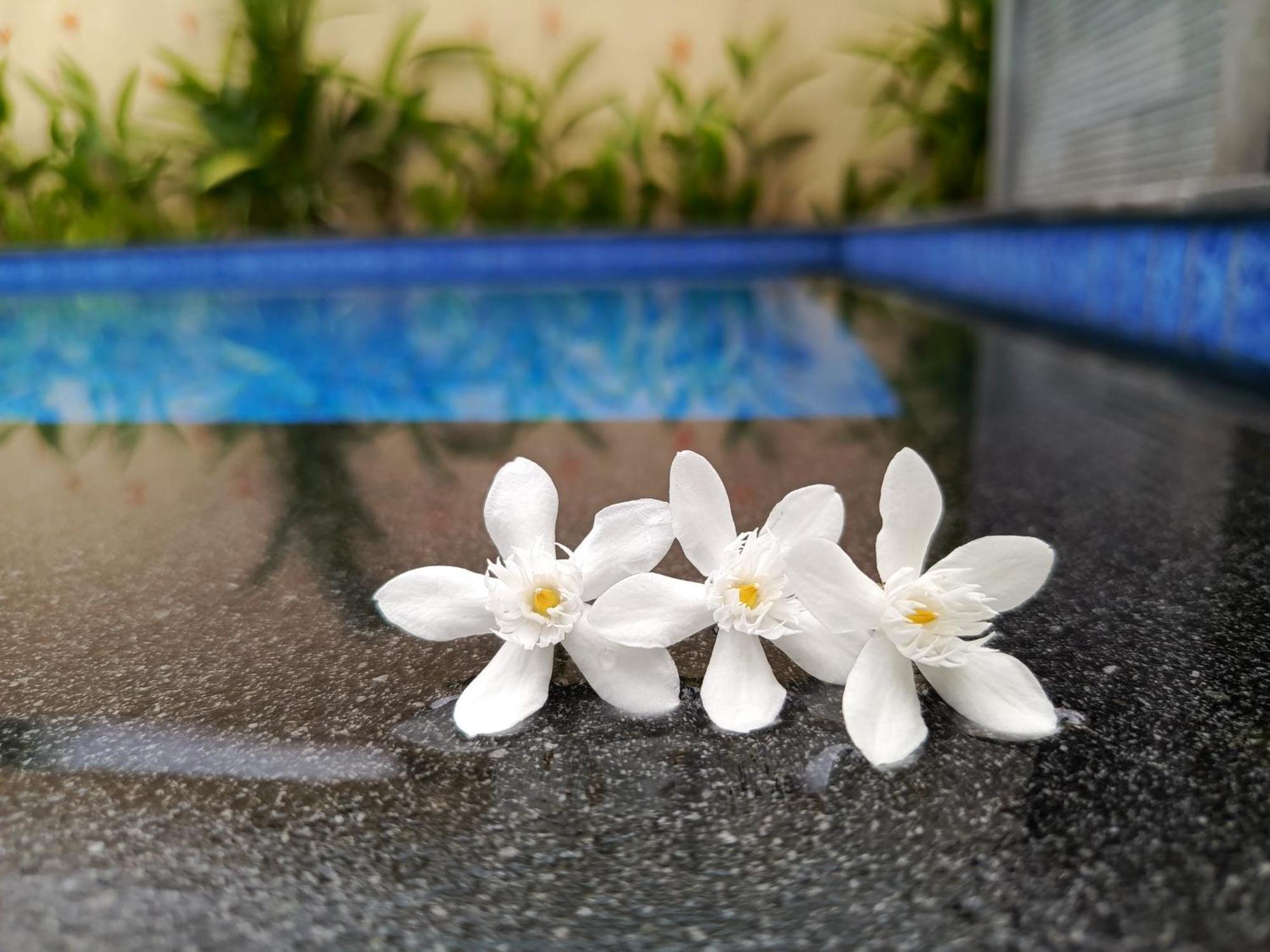 Zavana Rooms & Restaurant Tanjungkarang المظهر الخارجي الصورة